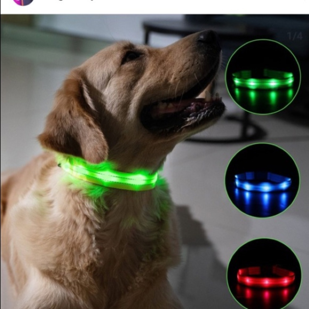 LED COLLARS
